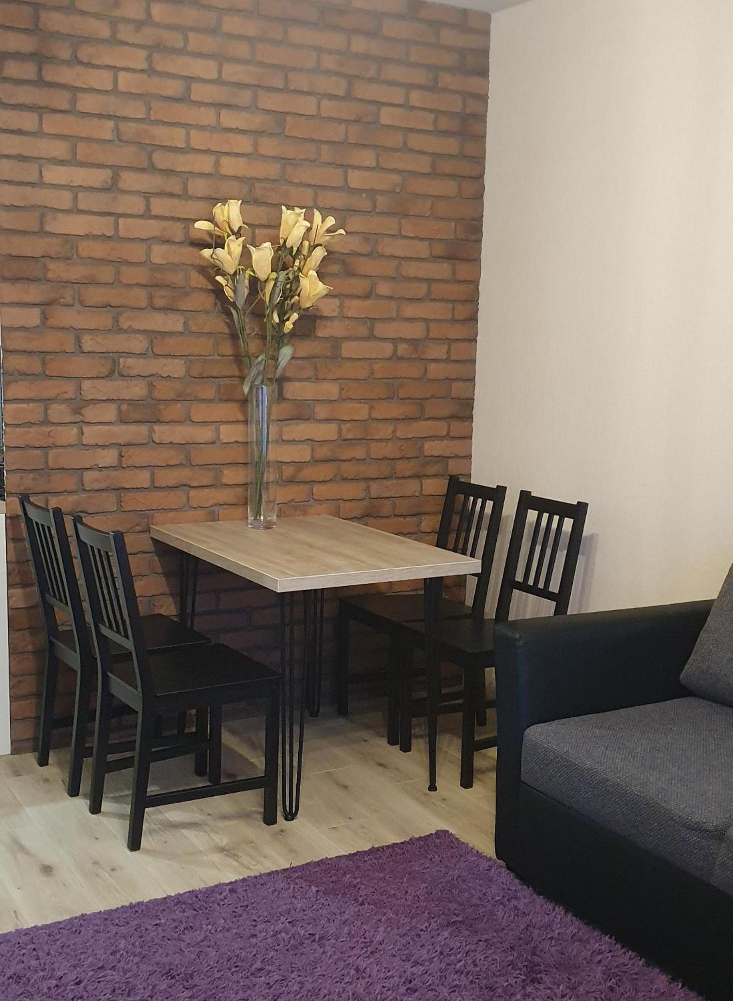 Apartamenty Bartnicza C Bielsko-Biala Exterior photo