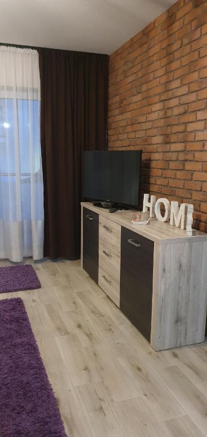 Apartamenty Bartnicza C Bielsko-Biala Exterior photo